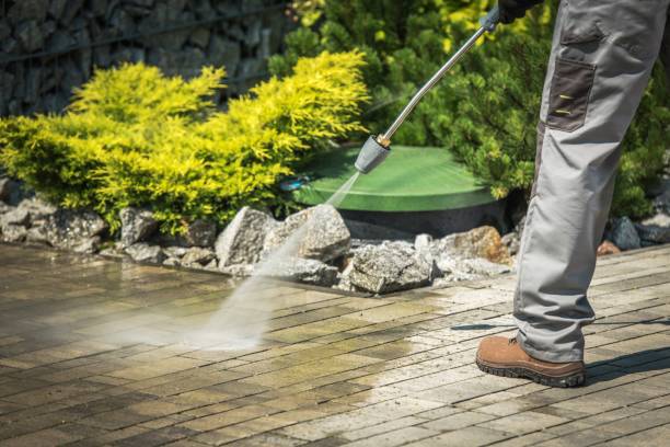 Best Soft Washing  in Olga, FL