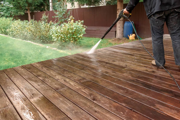 Best Solar Panel Cleaning  in Olga, FL
