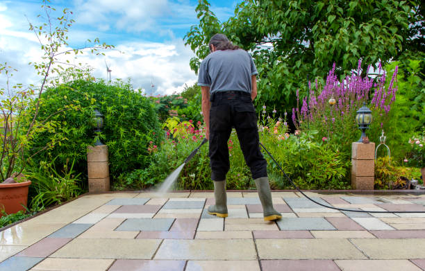 Best Animal Enclosure Cleaning  in Olga, FL