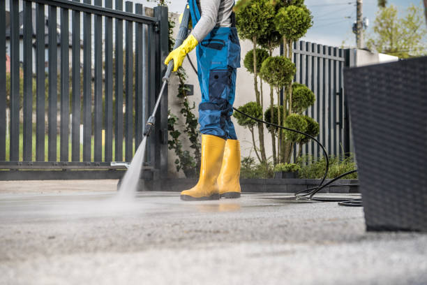 Best Patio and Deck Pressure Washing  in Olga, FL